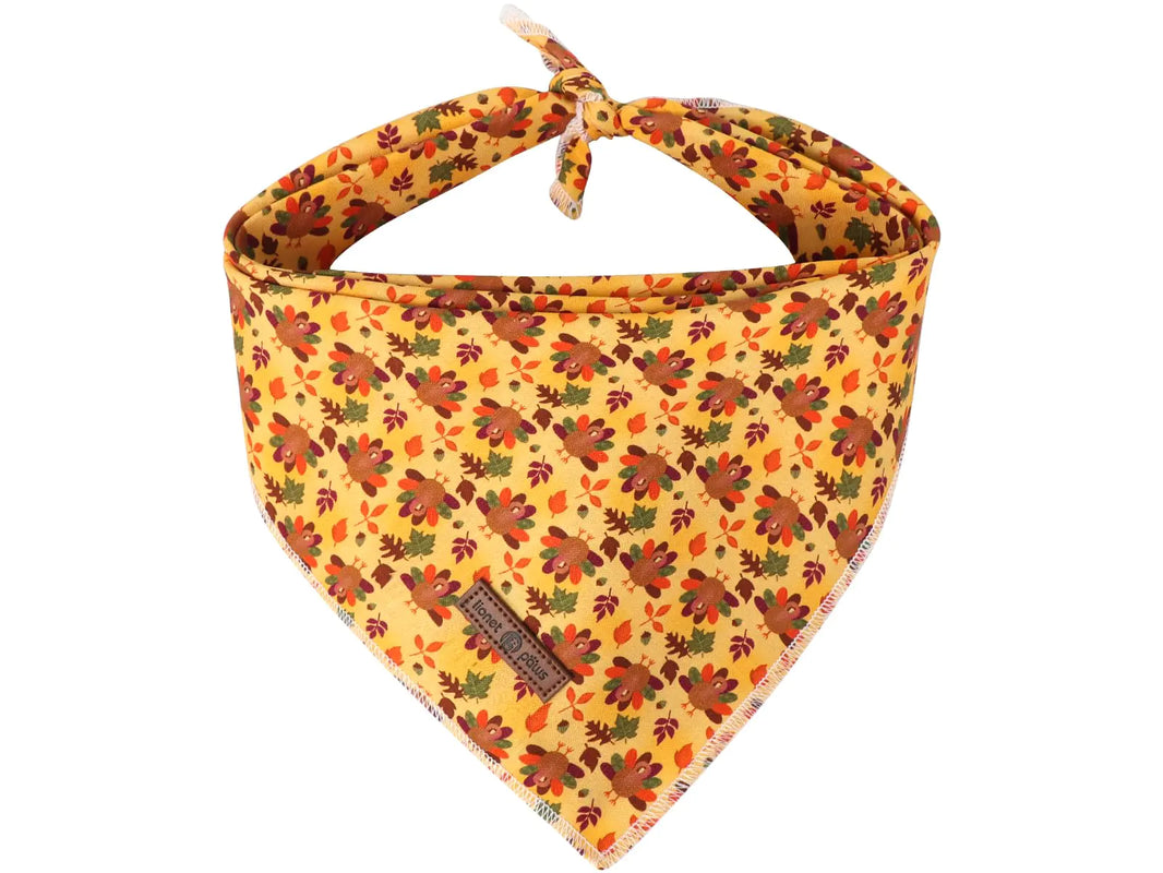 Lionet Paws Turkey Fest Dog Bandana