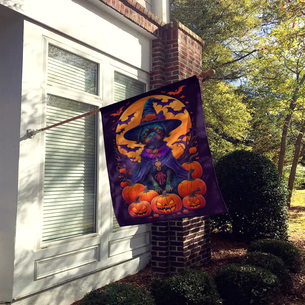 Affenpinscher Magic Night Flag