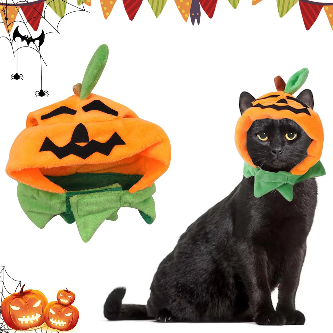 Pumpkin Pals Pet Hat
