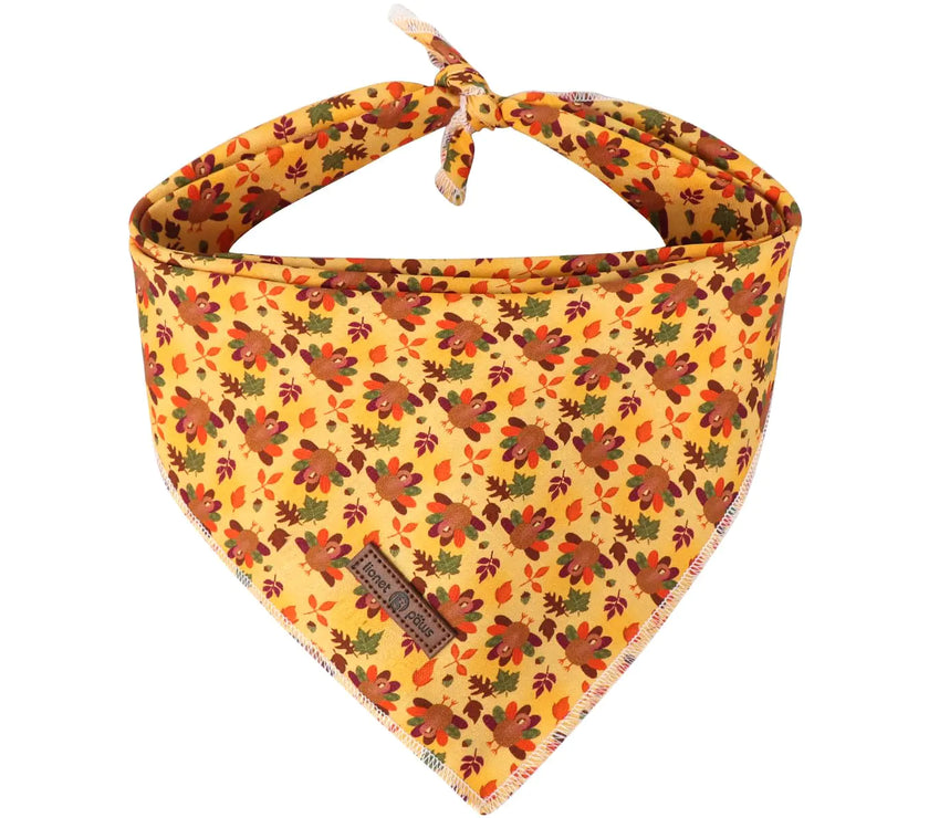 Lionet Paws Turkey Fest Dog Bandana