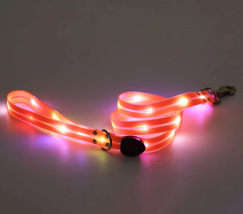 Rechargeable LED Pet Collar with Nylon Leash