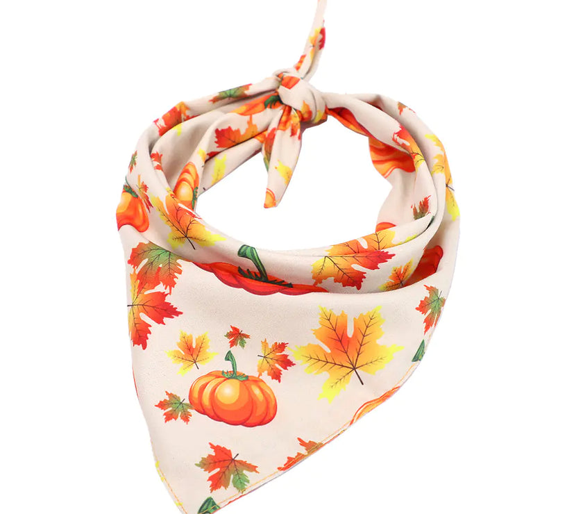 Festive Furry Friend Bandana