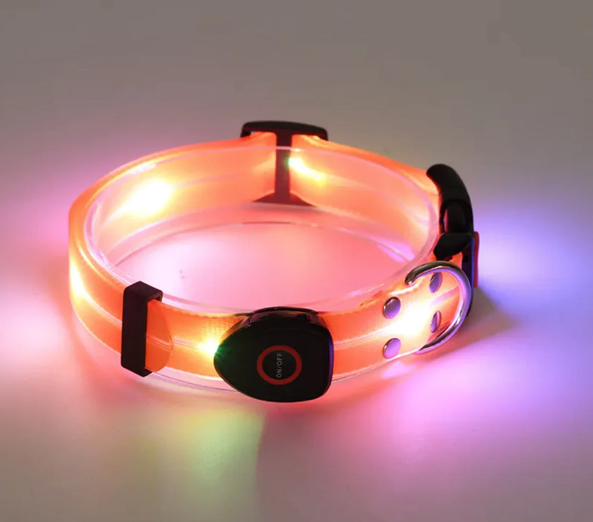Rechargeable LED Pet Collar with Nylon Leash