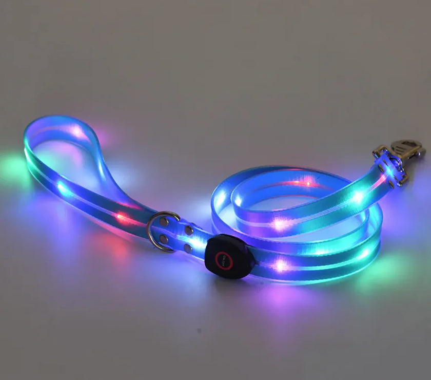 Rechargeable LED Pet Collar with Nylon Leash