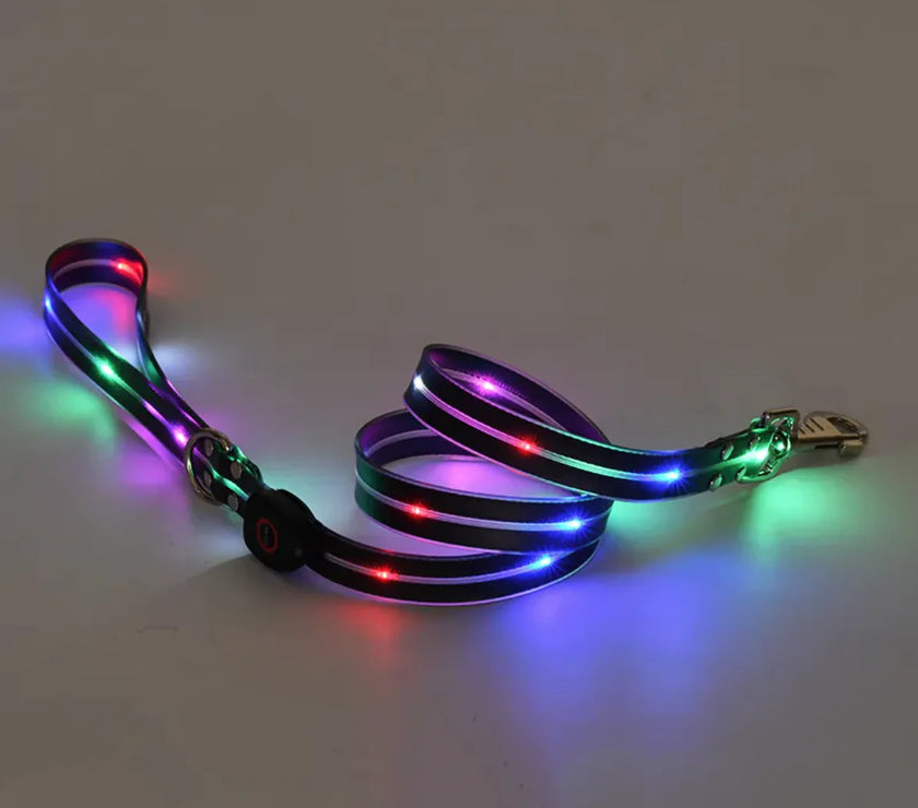 Rechargeable LED Pet Collar with Nylon Leash