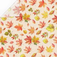 AutumnLeaf 60pc Fall Tissue Paper