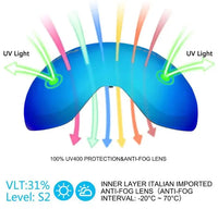 ClearView Anti-Fog Ski Goggles