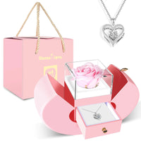 Eternal Pink Rose & Silver Heart Necklace Gift Set