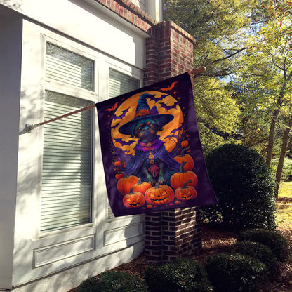 Affenpinscher Magic Night Flag