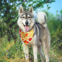 Festive Furry Friend Bandana