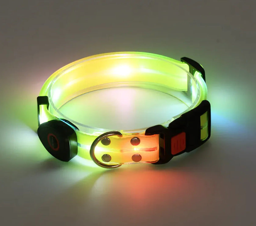 Rechargeable LED Pet Collar with Nylon Leash