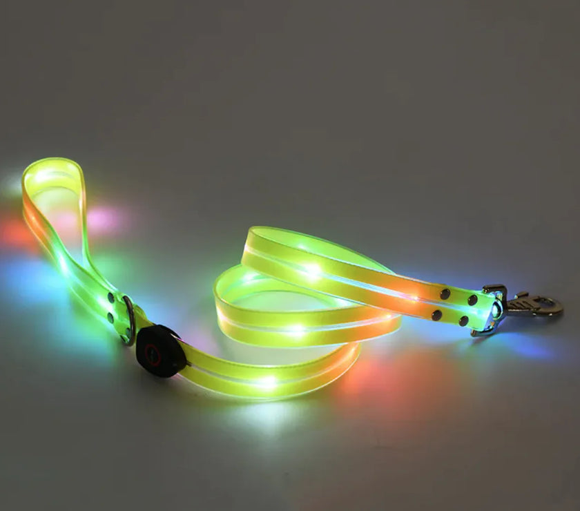 Rechargeable LED Pet Collar with Nylon Leash