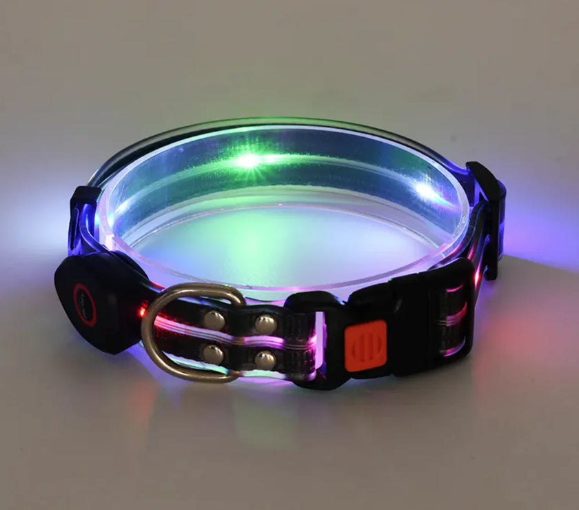 Rechargeable LED Pet Collar with Nylon Leash