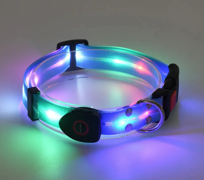 Rechargeable LED Pet Collar with Nylon Leash