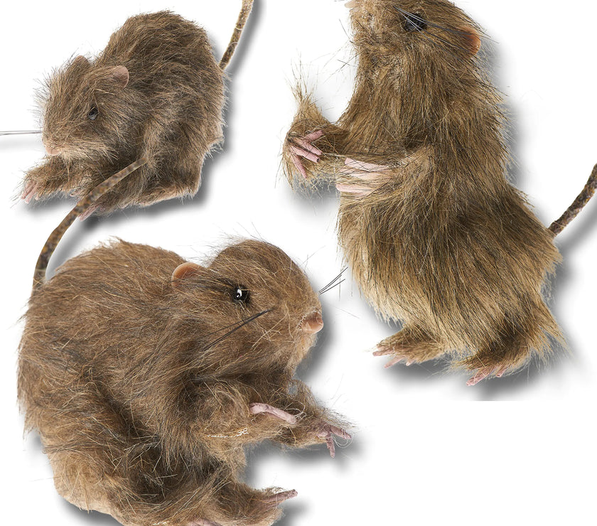 Prextex Spooky Faux Rat Trio for Halloween