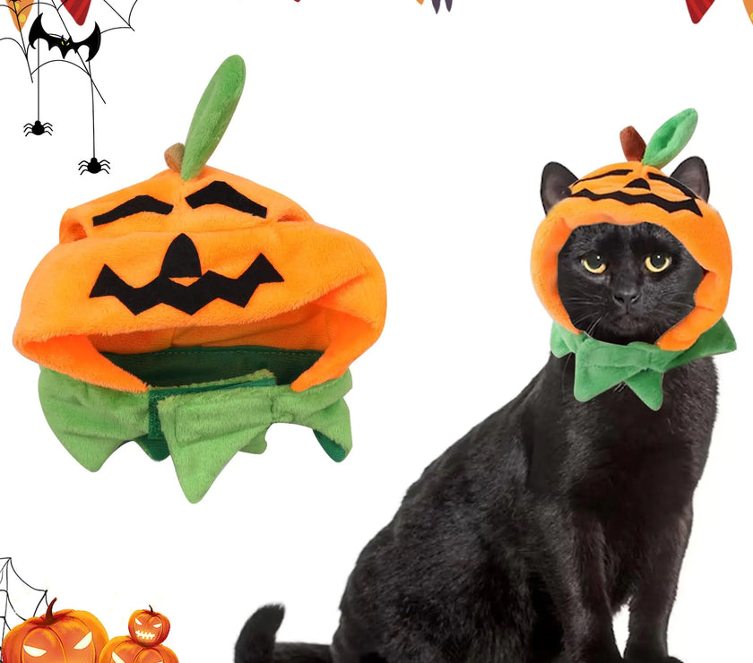 Pumpkin Pals Pet Hat