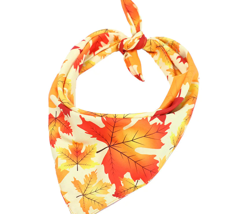 Festive Furry Friend Bandana